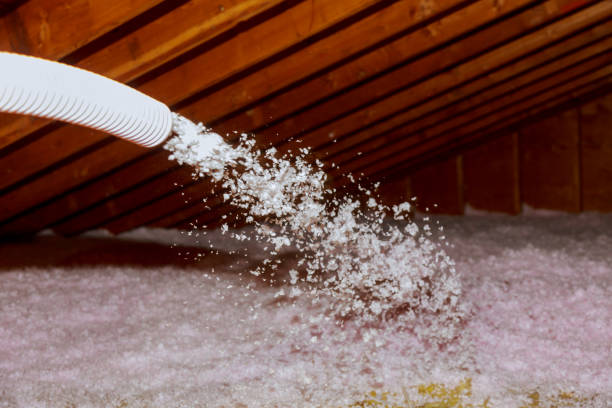 Best Residential Insulation in Fort Llins, CO