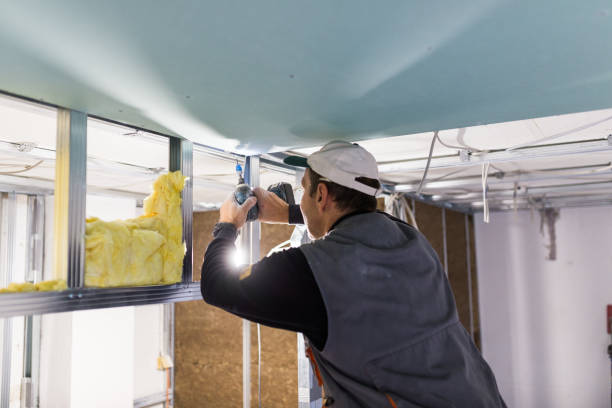 Best Residential Insulation in Fort Llins, CO