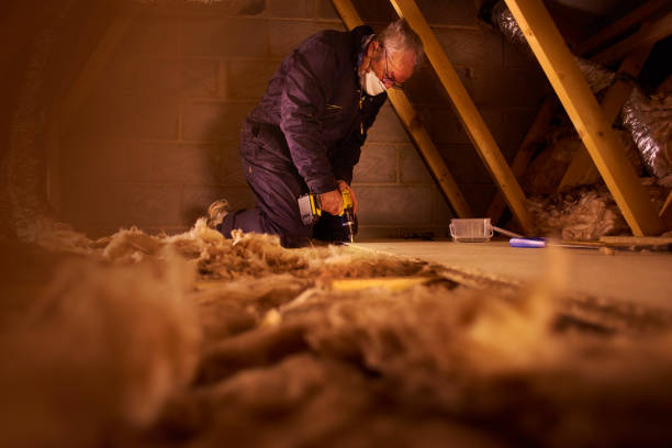 Types of Insulation We Offer in CO